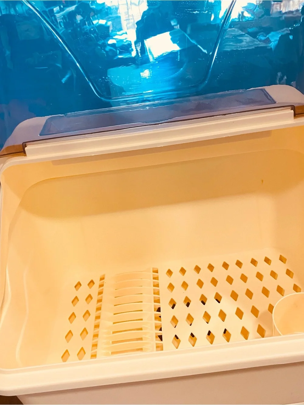 Dish Drainer covered